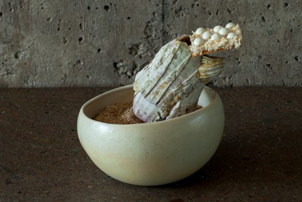 Borago-LATAM-2018-DISH1